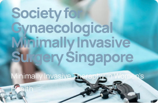 SGMIS All About MIS Workshop – Surgical Trainer Laparoscopic Hysterectomy